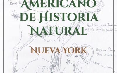 Museo Americano de Historia Natural Nueva York