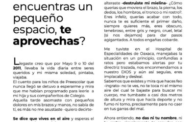 Texto integro